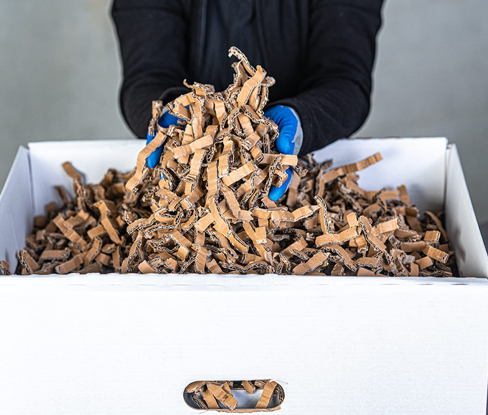Copeaux cartons du   ecoChip Profipack monophasé avec kit d'adaptation pour aspiration